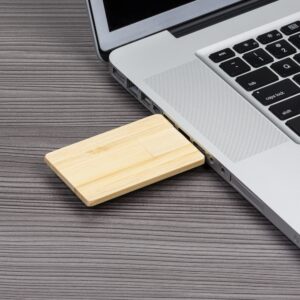Pen Card Bambu 4GB/8GB/16GB